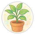 観葉植物
